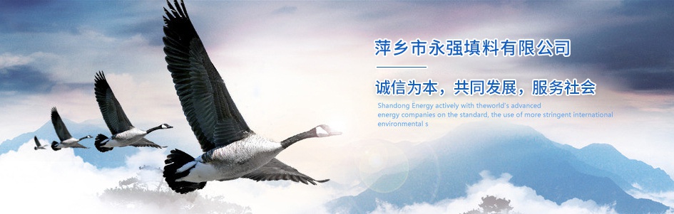 山東向陽(yáng)電子科技有限公司 